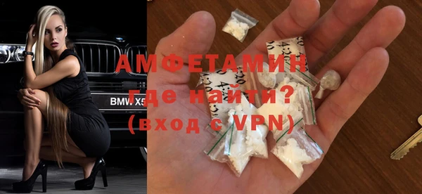 прущие грибы Балахна