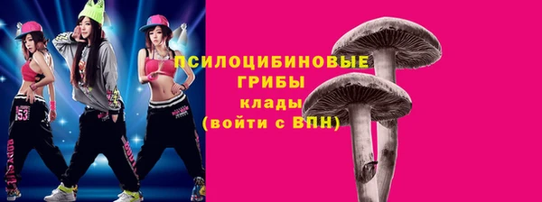 прущие грибы Балахна