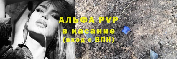прущие грибы Балахна