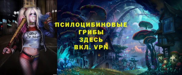 бутират Арсеньев