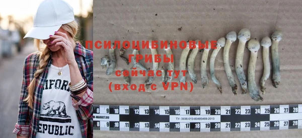 прущая мука Армянск