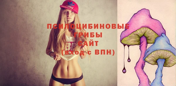 прущая мука Армянск